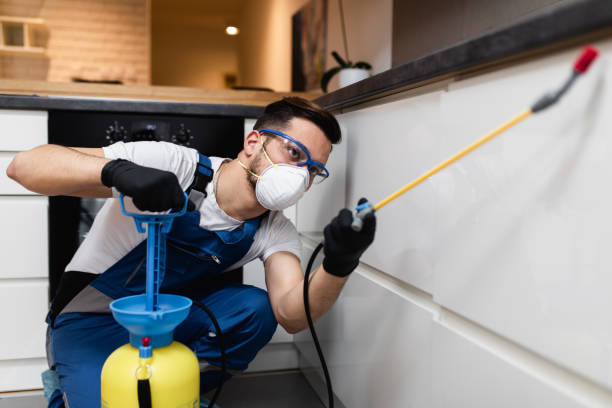 Best Termite Control Services  in Dos Palos, CA