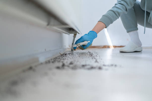 Best Residential Pest Control  in Dos Palos, CA